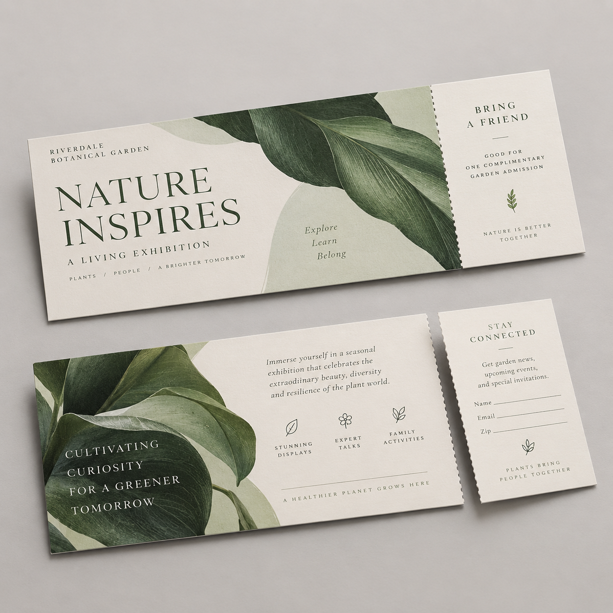 Tearoff Postcards
